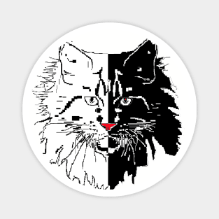 cat Maine Coon in white vs black background Magnet
